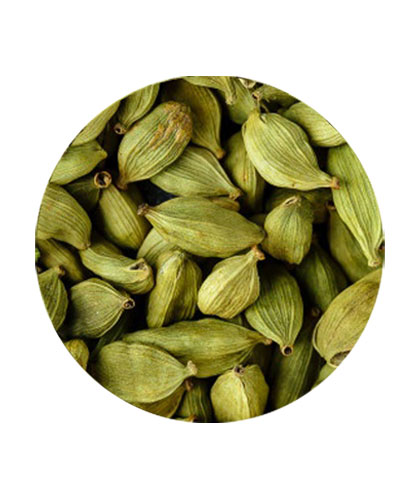 Cardamom No 3
