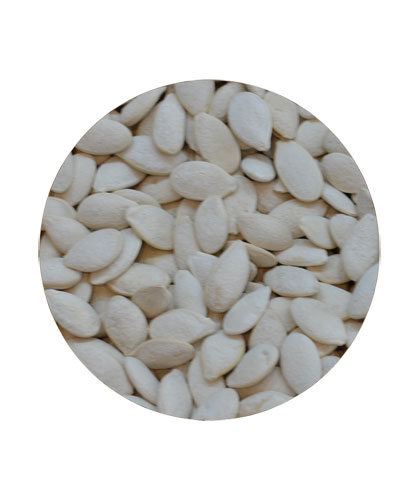 Jumbo Pumpkin Seeds Salted Loose
