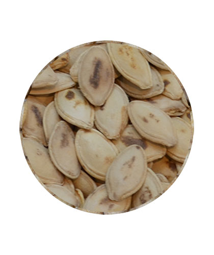Super Pumpkin Seeds Roasted Loose