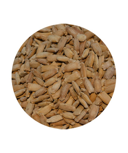 Kashabi Seeds Salted Loose
