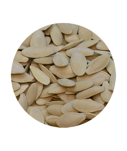Watermelon seeds salted loose