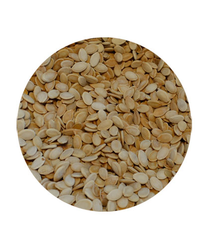 Special Seeds Loose
