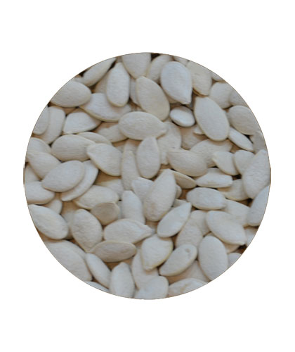 Jumbo Pumpkin Seeds Unsalted Loose
