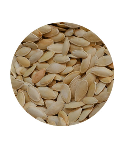 Super Pumpkin Seeds Unsalted Loose
