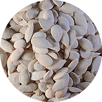 Seeds